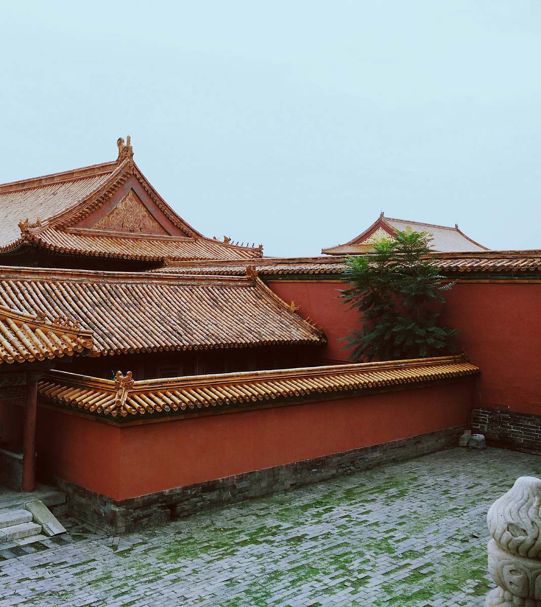 tile roof temple with tree building